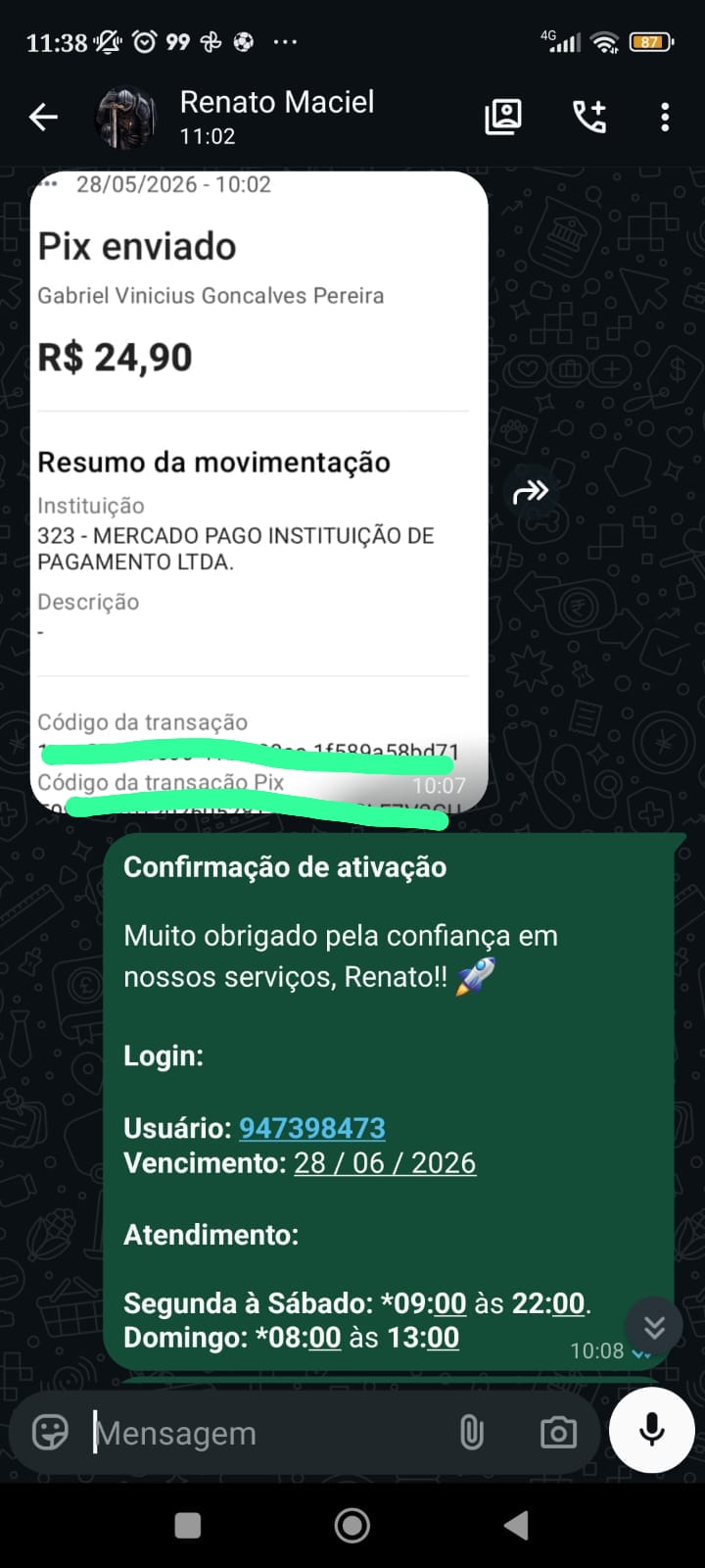 Conversa real de cliente — Pagamento confirmado